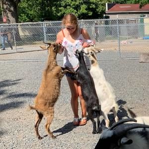 Meet your Posher, Avery